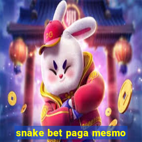 snake bet paga mesmo